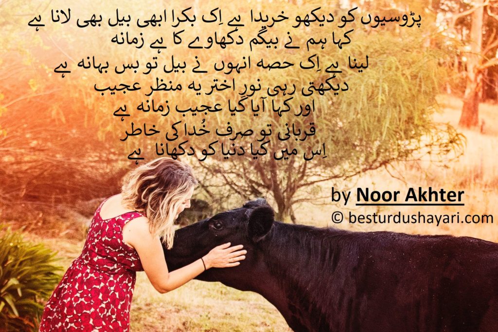 Funny bakra eid poetry- begum ki farmiash Qurbani ka Bakra